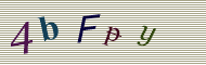 CAPTCHA code